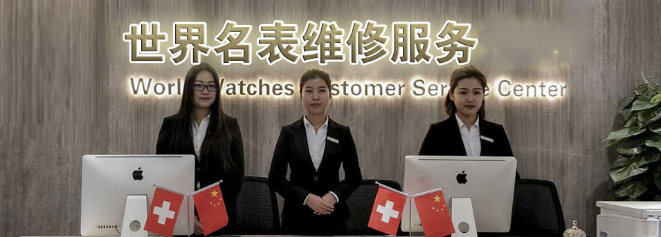 成都帝舵指定授权维修